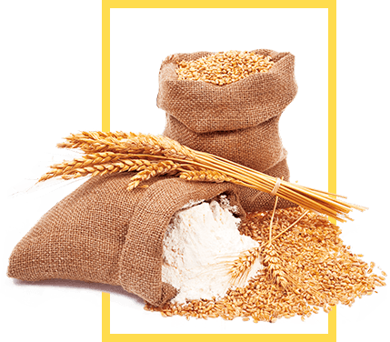 Productos orgánicos - Saco de cereales